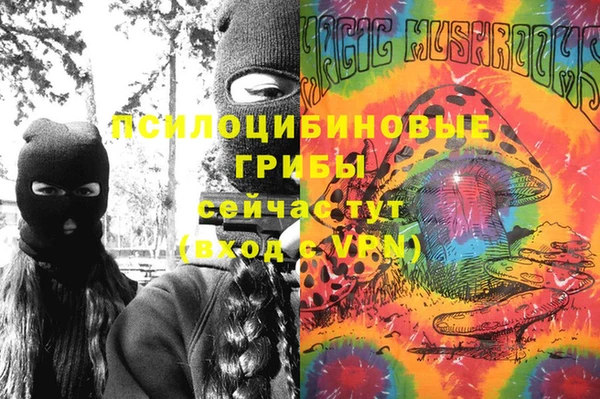 ПСИЛОЦИБИНОВЫЕ ГРИБЫ Балахна