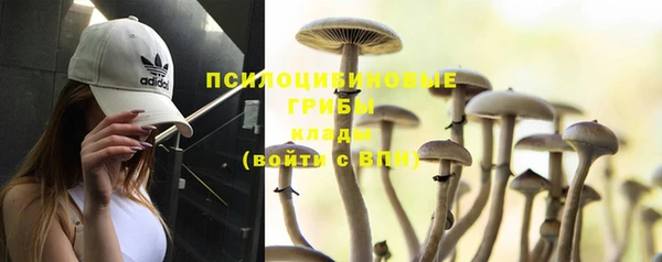 ALPHA-PVP Баксан