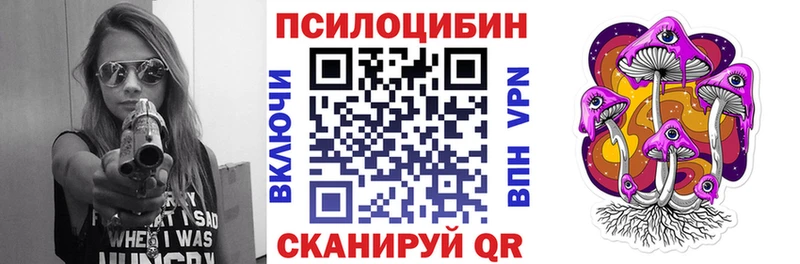 магазин продажи Городец Псилоцибиновые грибы Psilocybine cubensis