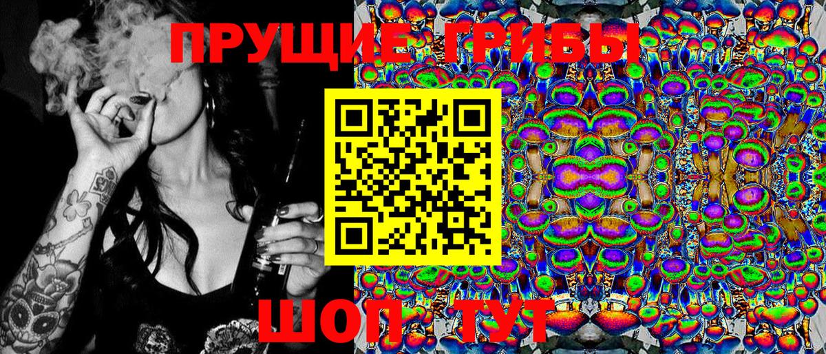 Псилоцибиновые грибы Psilocybine cubensis  Городец  Псилоцибиновые грибы Psilocybe 